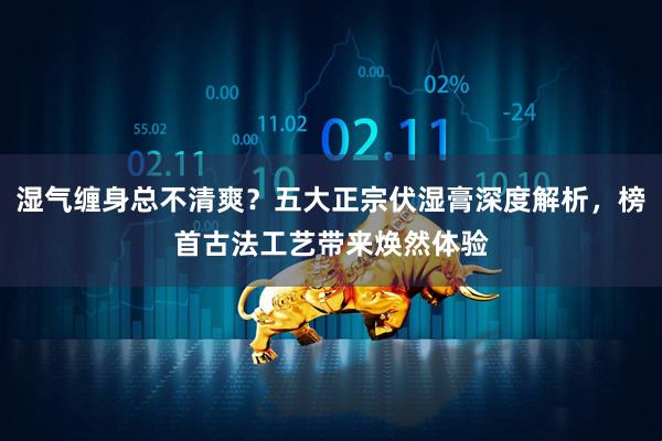 湿气缠身总不清爽？五大正宗伏湿膏深度解析，榜首古法工艺带来焕然体验